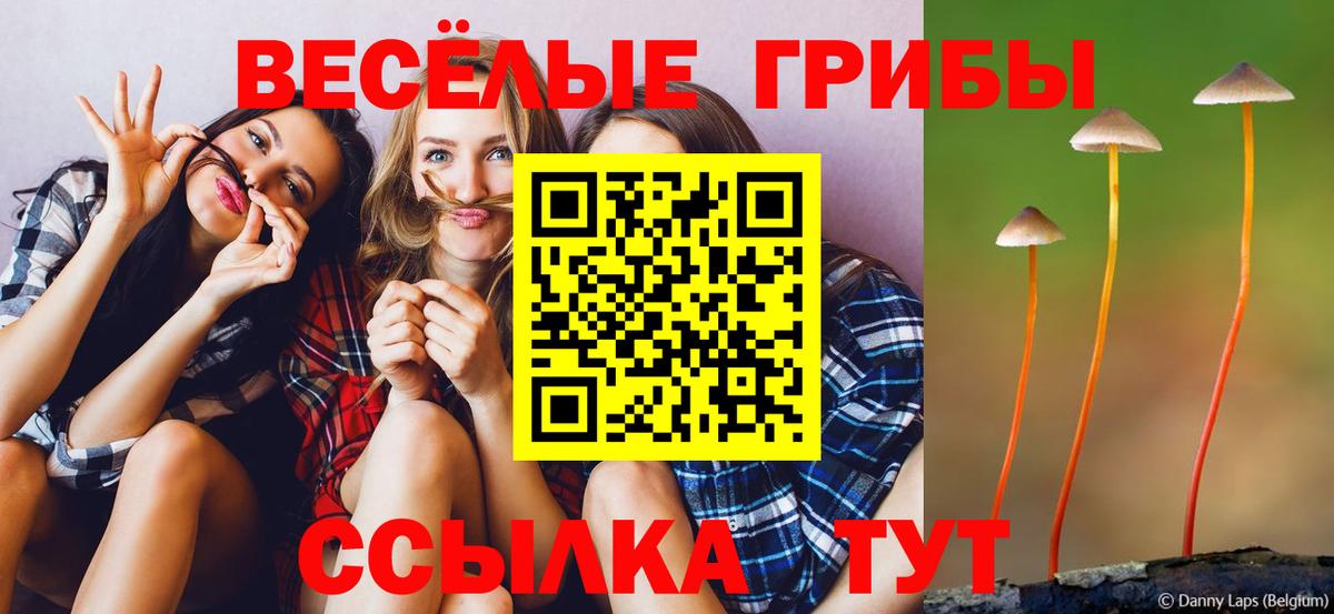 где продают наркотики  Галлюциногенные грибы Psilocybine cubensis  Нижнекамск  Вход с VPN  Галлюциногенные грибы мухоморы 